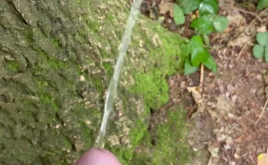 Cheating wife into the woods, he have my load inside him