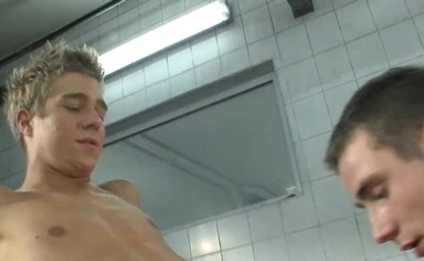 George Basten Collection